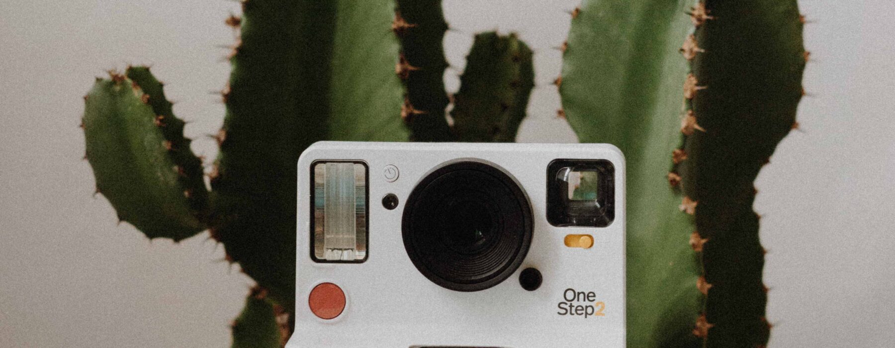 aldo-delara-3492xjtoGcg-unsplash